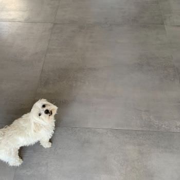 Rénovation de sols 120x120