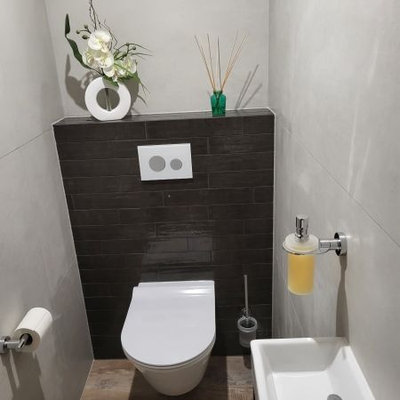 Rénovation toilette Rénovation toilette