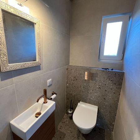 Rénovation d'un toilette (67)